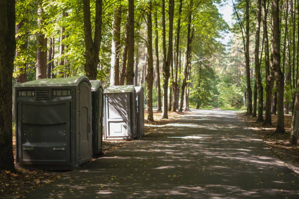 Best Porta potty rental for festivals  in Mammoth, AZ